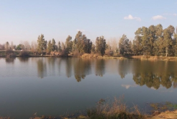 ADJUDICACIÓN OBRA PESQUILES EN CHARCA MUNICIPAL DE PUEBLA DE LA CALZADA